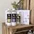 AlvaHorse Show Glow Collection