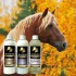 AlvaHorse Autumn Essentials 500ml