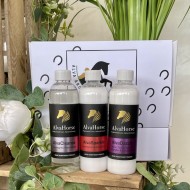 AlvaHorse Classic Discovery Collection