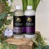 AlvaHorse Lavender Lovers