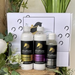 AlvaHorse Show Glow Collection