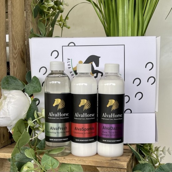AlvaHorse Discovery Summer Collection